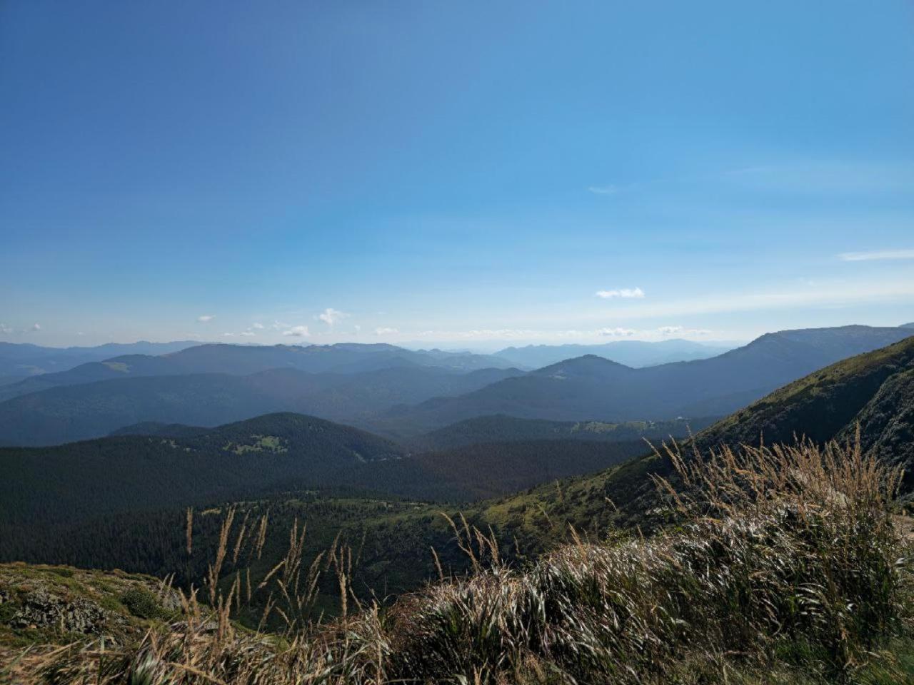 кичера 山林小屋 Krivopol'ye