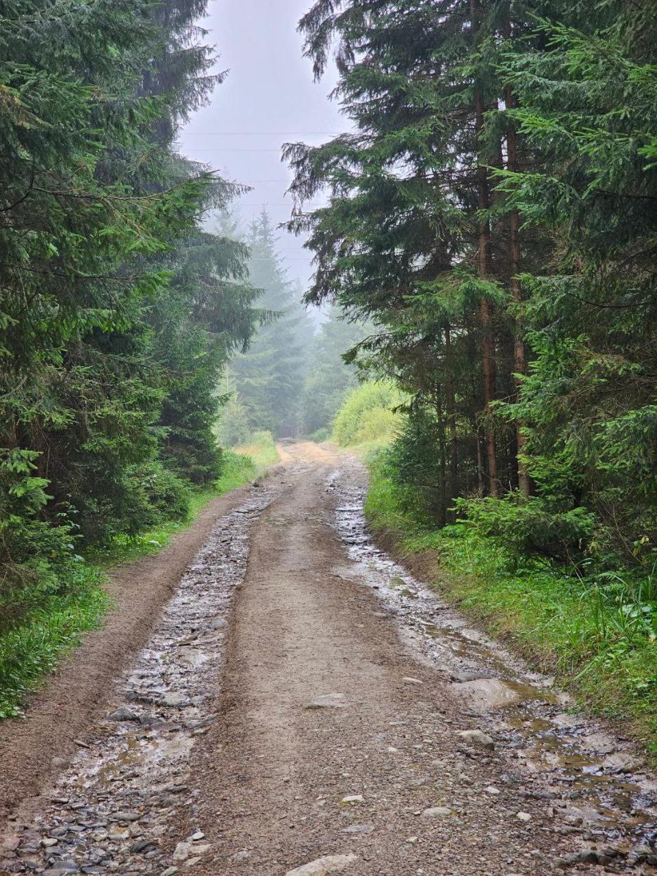 кичера