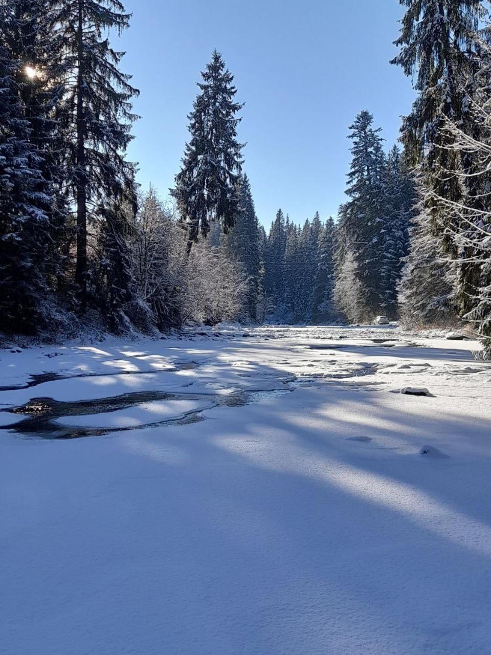 кичера *